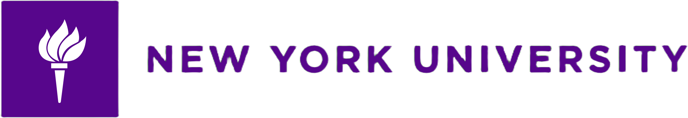 New York University